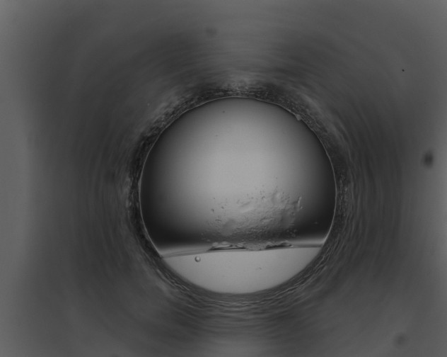 X0000095680750200801081102