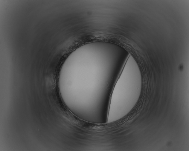 X0000095680751200801081102