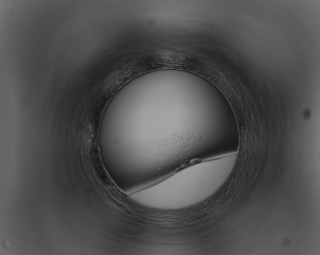 X0000095680752200801081102