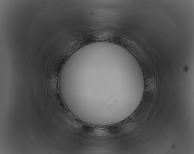 X0000095680753200801081102