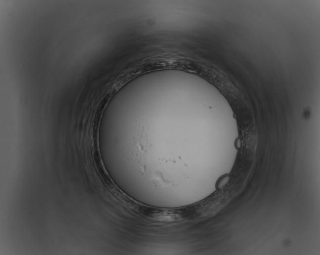 X0000095680754200801081102