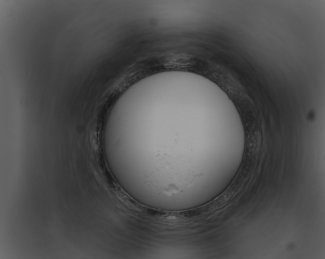 X0000095680755200801081102