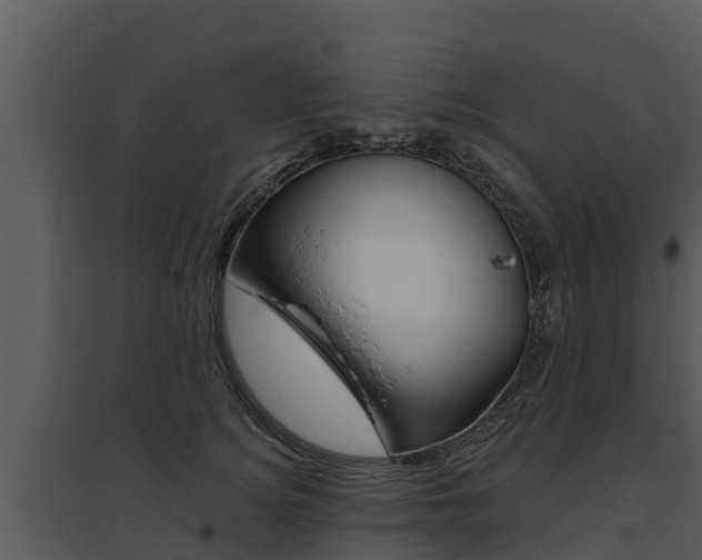 X0000095680756200801081102