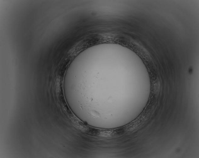 X0000095680757200801081102
