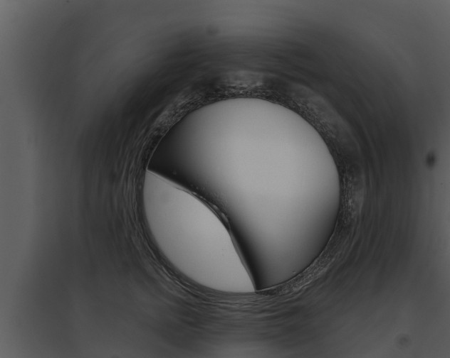 X0000095680758200801081102