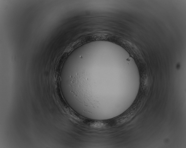 X0000095680759200801081102