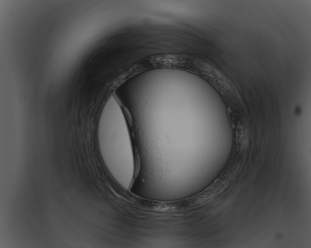 X0000095680760200801081102