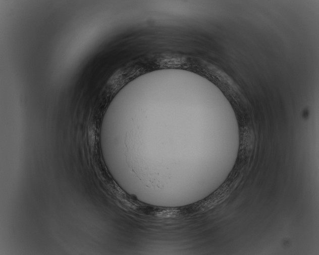 X0000095680761200801081102