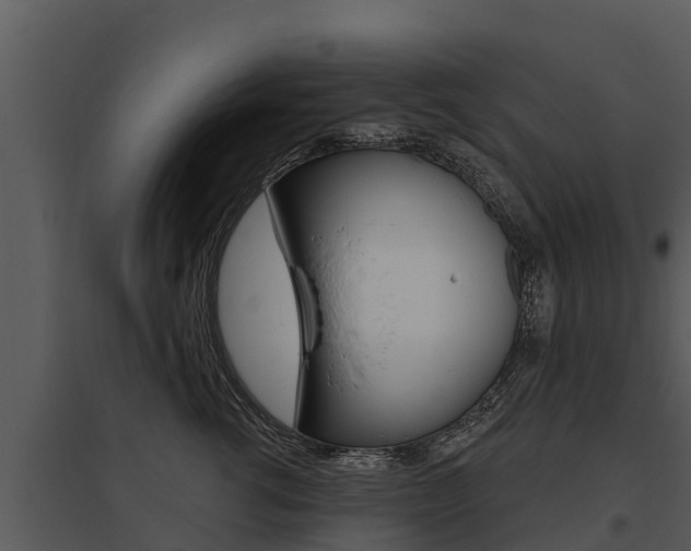 X0000095680762200801081102