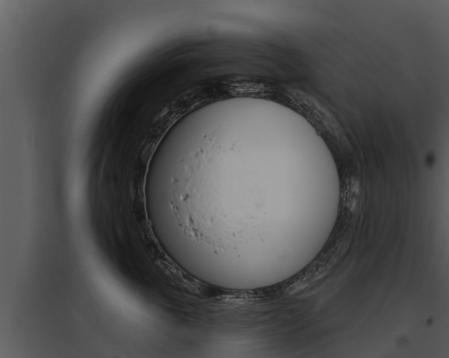 X0000095680763200801081102