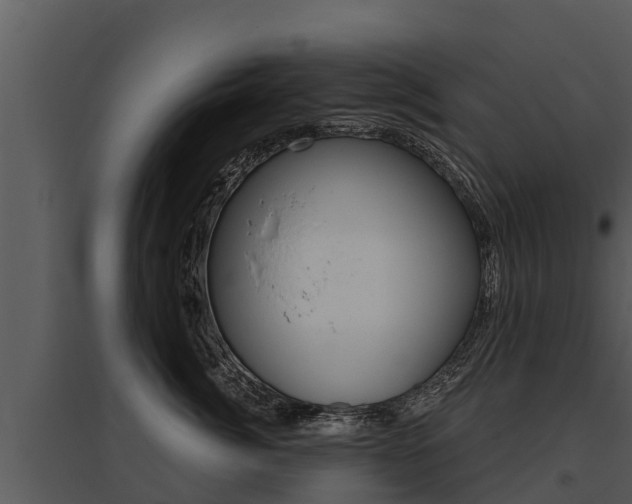 X0000095680764200801081102
