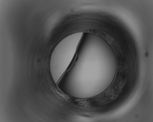 X0000095680766200801081102