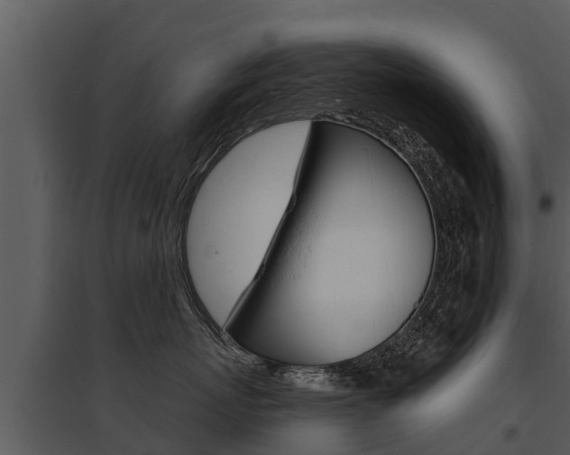 X0000095680767200801081102