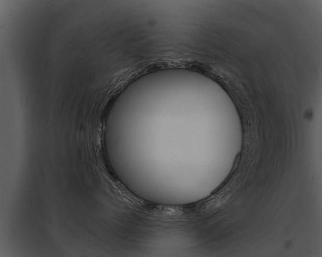 X0000095680768200801081102