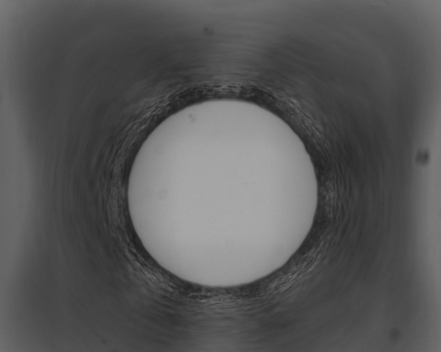 X0000095680769200801081102