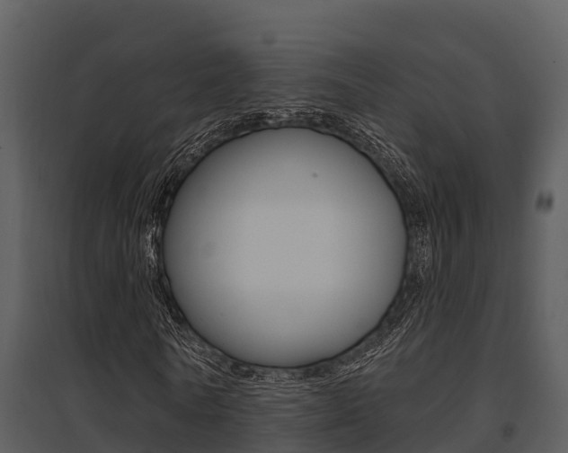 X0000095680770200801081102