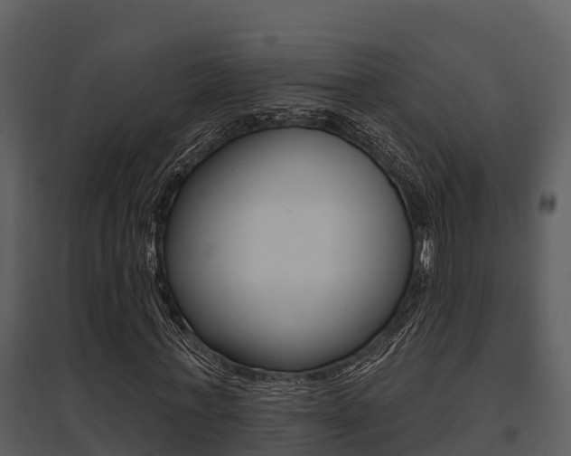 X0000095680771200801081102