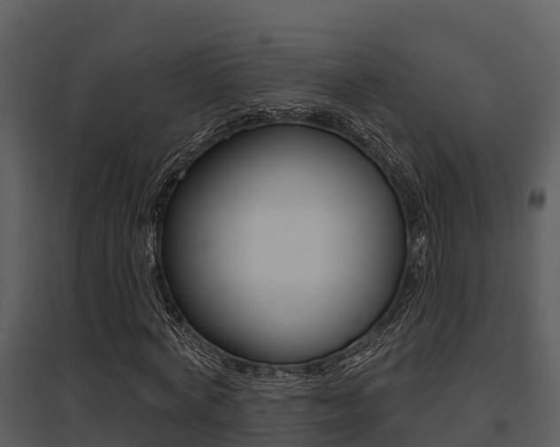X0000095680772200801081102