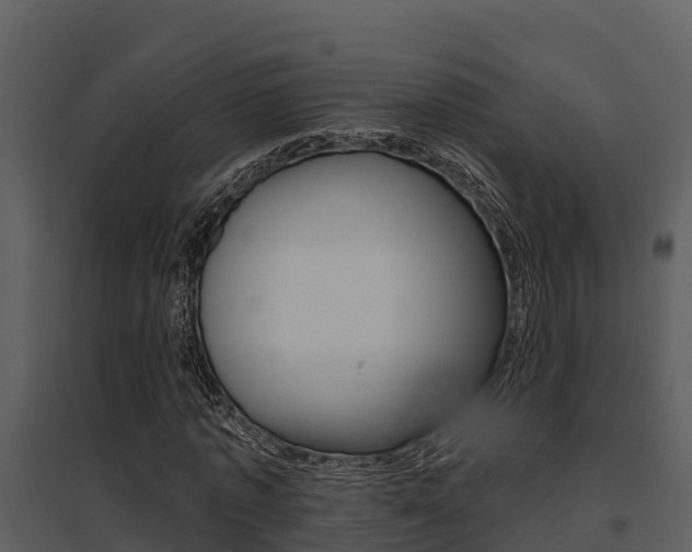 X0000095680773200801081102