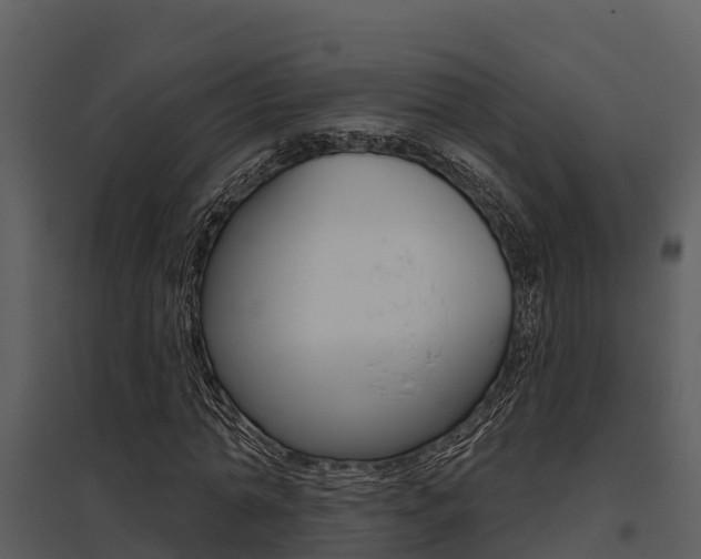 X0000095680774200801081102