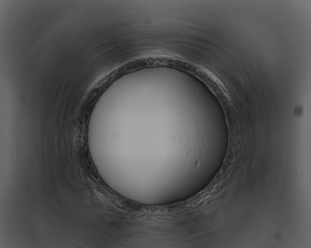 X0000095680775200801081102