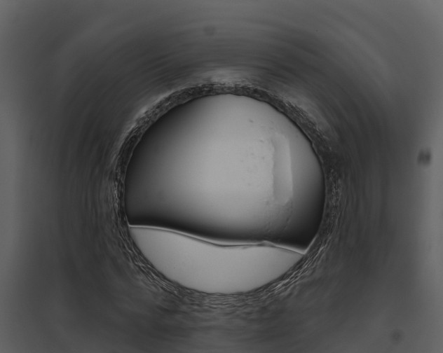 X0000095680776200801081102
