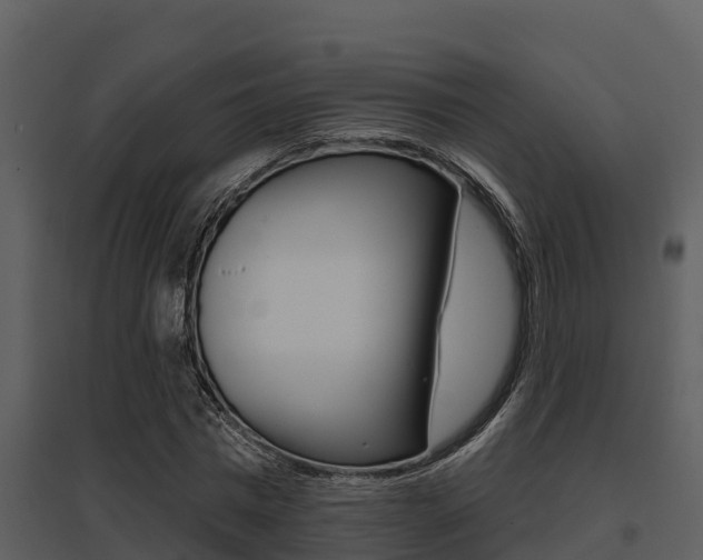 X0000095680777200801081102