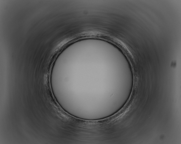 X0000095680778200801081102