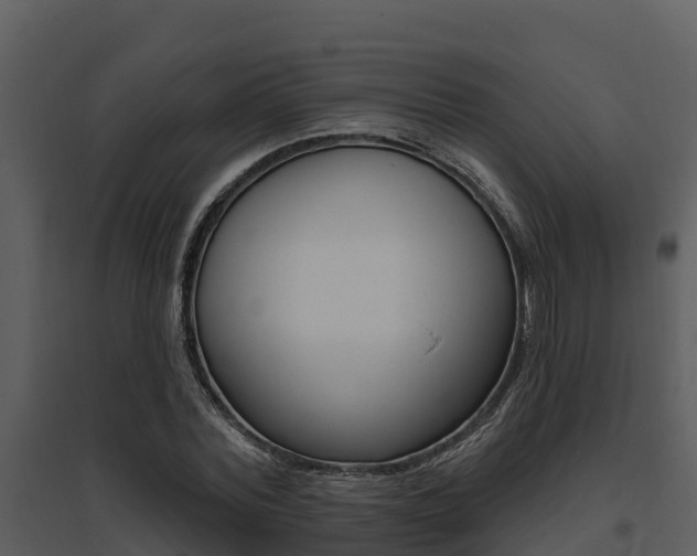 X0000095680780200801081102