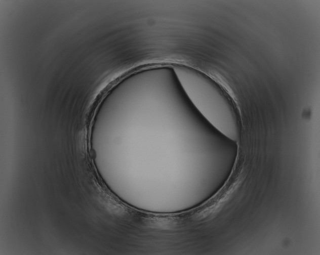 X0000095680781200801081102