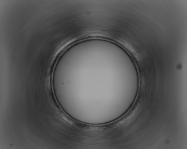 X0000095680782200801081102