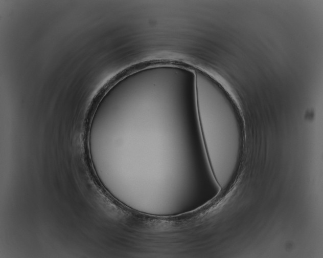 X0000095680783200801081102