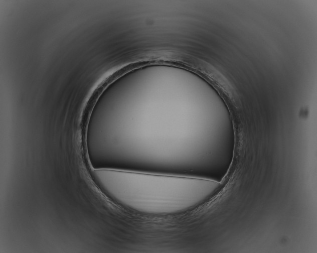 X0000095680784200801081102