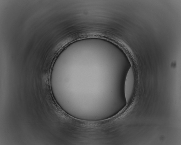 X0000095680785200801081102