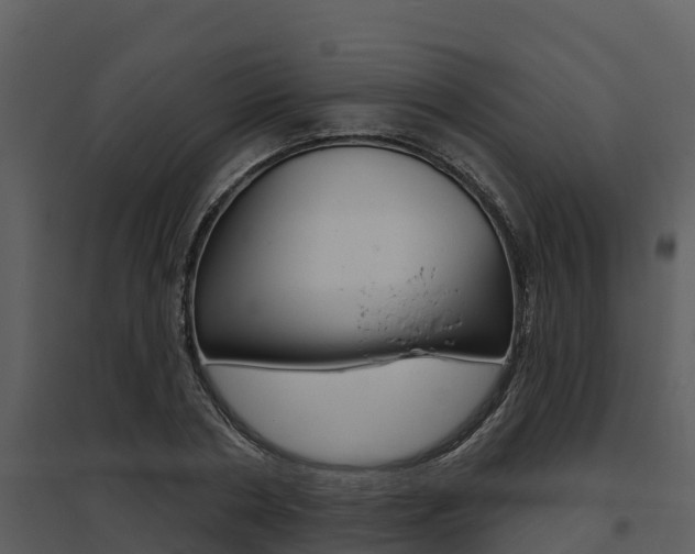 X0000095680786200801081102