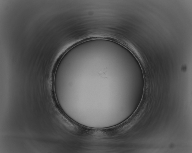 X0000095680787200801081102