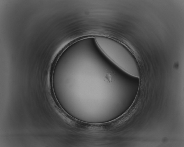 X0000095680788200801081102
