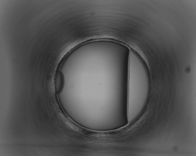 X0000095680789200801081102