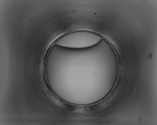 X0000095680790200801081102