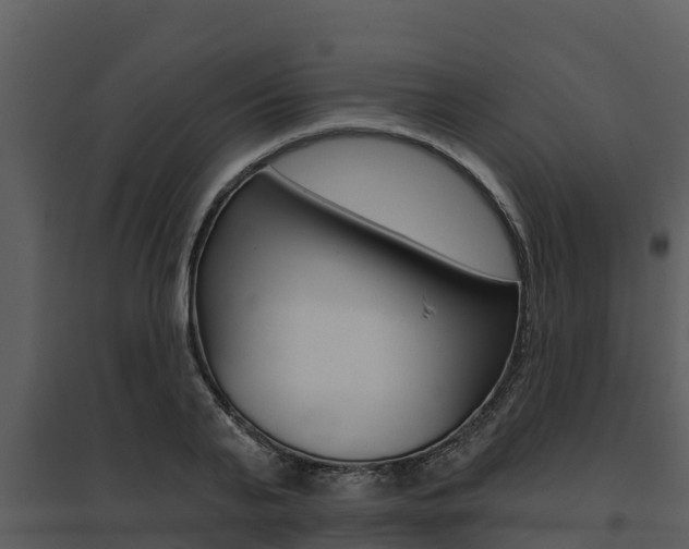X0000095680791200801081102