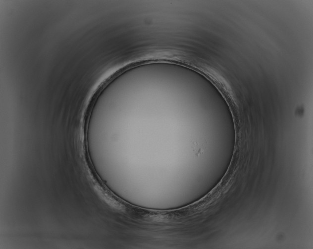 X0000095680792200801081101