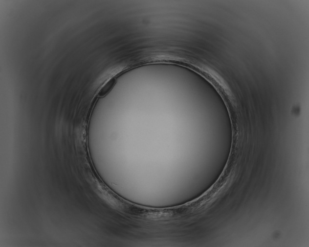 X0000095680793200801081101