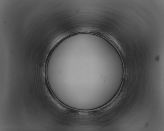 X0000095680794200801081101