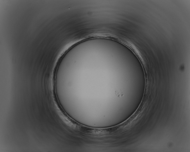 X0000095680795200801081101