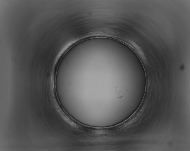 X0000095680796200801081101