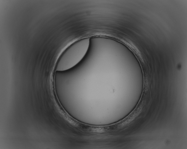 X0000095680798200801081101