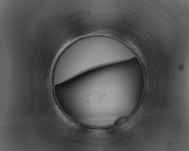 X0000095680800200801081101