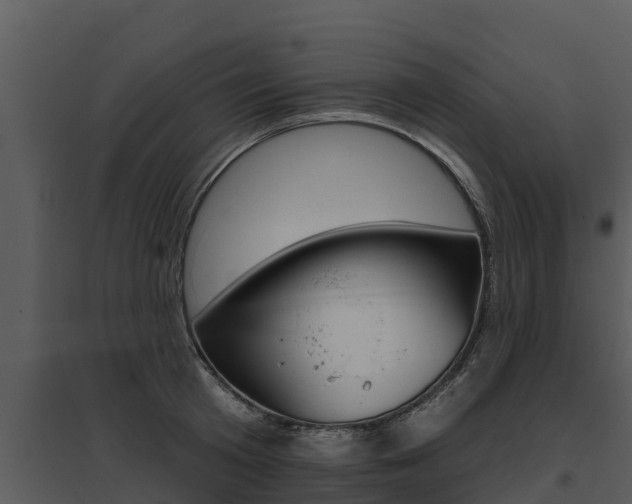 X0000095680801200801081101