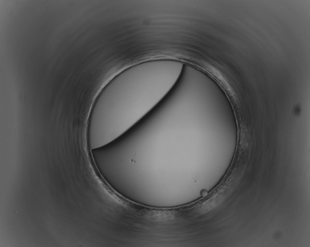 X0000095680802200801081101