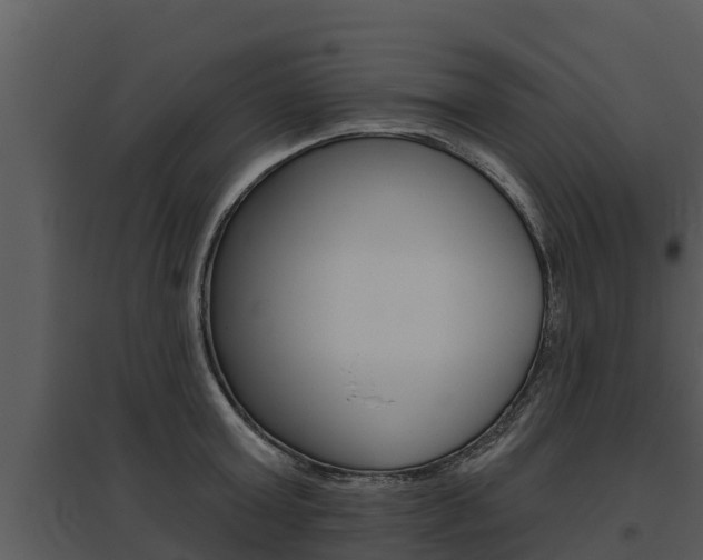 X0000095680803200801081101